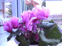 /album/fotogaleria/pic-0942-1-jpg/