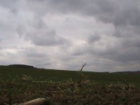 /album/fotogaleria/pic-0990-1-jpg/