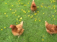 /album/fotogaleria/pic-0023-6-jpg/