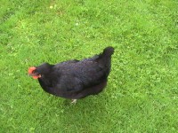 /album/fotogaleria/pic-0029-2-jpg/