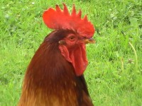 /album/fotogaleria/pic-0041-2-jpg/