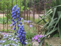 /album/fotogaleria/pic-0046-2-jpg/