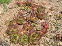 /album/fotogaleria/pic-0049-2-jpg/